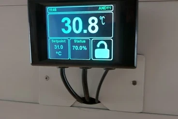 Boas kaufen und verkaufen Photo: 1,1 Boa constrictor longicauda inkl. Terrarium