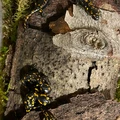 Bild 7/7
