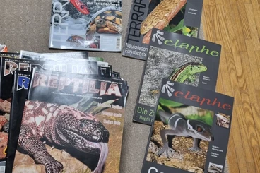 Books & Magazines kaufen und verkaufen Photo: Reptilia/Terraria/elaphe