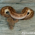 Bild 8/8