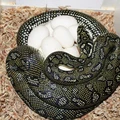 Bild 7/8