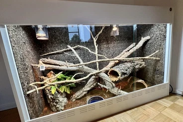Terrarien kaufen und verkaufen Foto: Kunststoff Terrarium 180x60x120