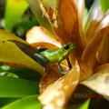 Bild 20/27