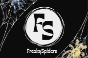 Spinnen und Skorpione kaufen und verkaufen Foto: Für Terraristikbörse Neumünster und Bad Fallingbostel als Aussteller