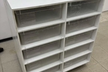 Terrarien kaufen und verkaufen Foto: Gebrauchtes 10er Rack - System