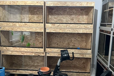 Terrarien kaufen und verkaufen Foto: Meine letzten 6 nagelneuen OSB-Terrarien