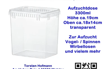 Spinnen und Skorpione kaufen und verkaufen Foto: Aufzuchtdosen mit und ohne Belüftungs-Gaze