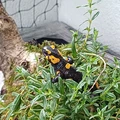 Bild 8/13