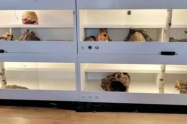 Boas kaufen und verkaufen Photo: Forex Anlage 4 Stück komplett