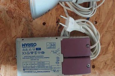 Lizards kaufen und verkaufen Photo: Solar Raptor, Terrarium, UVB Arcadia