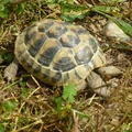Bild 4/5