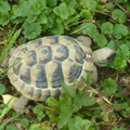 Bild 5/5